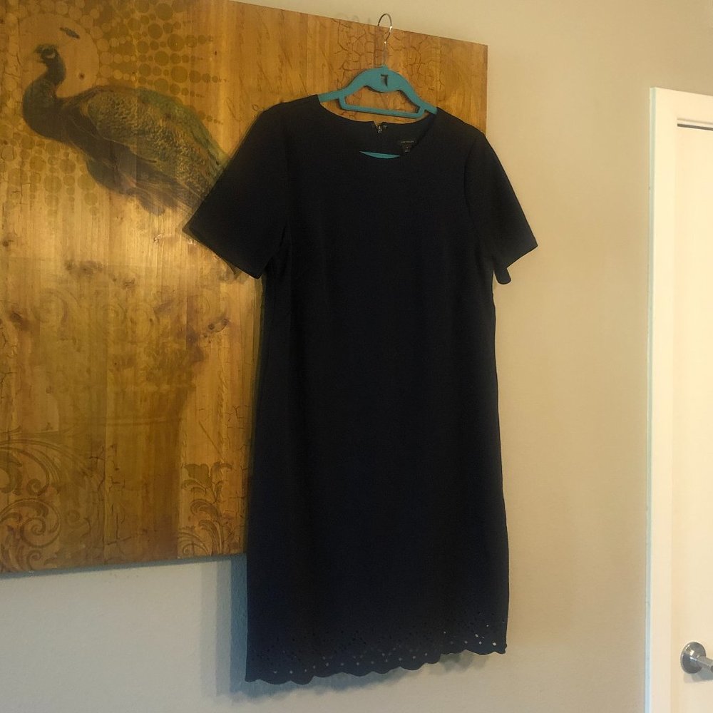 Ann Taylor Dress Size 10